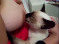 Big tits babe breastfeeding a cat